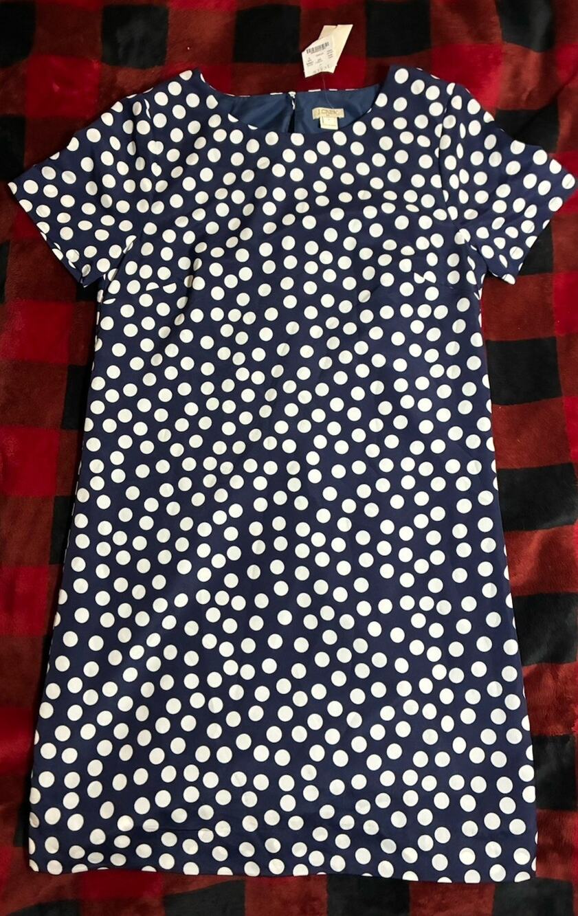 J.CREW Blue White Polka Dot Silk Twill Shift Dress Round Neck Sz 2 Knee
